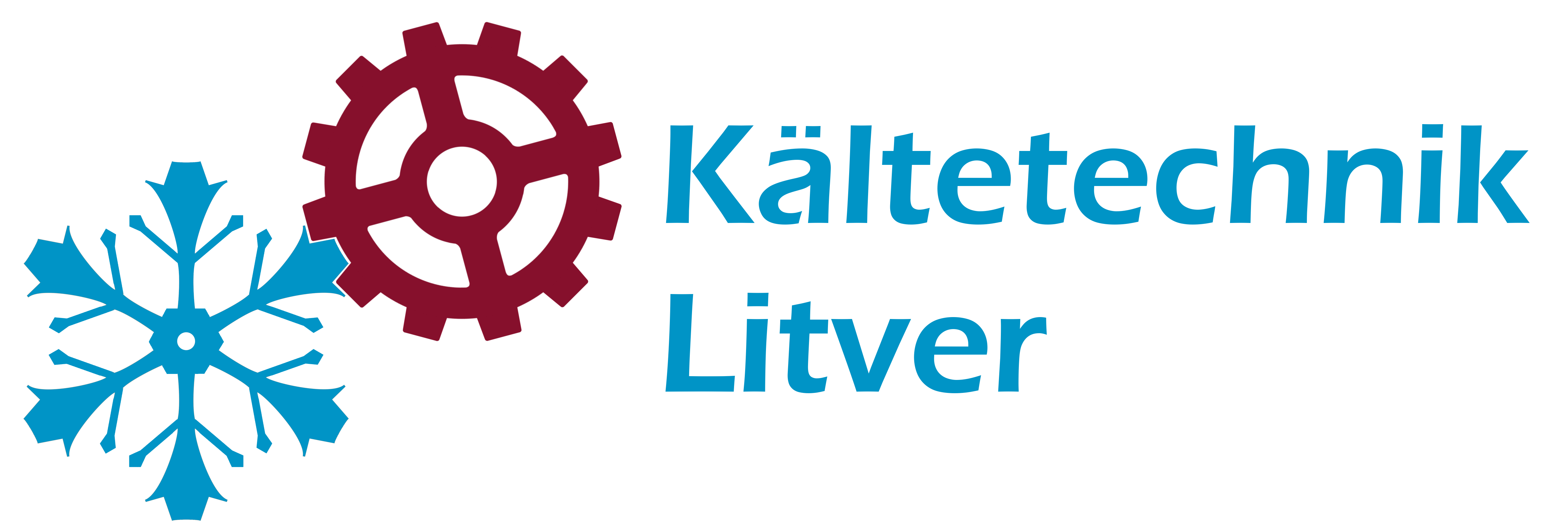 Kältetechnik Litver